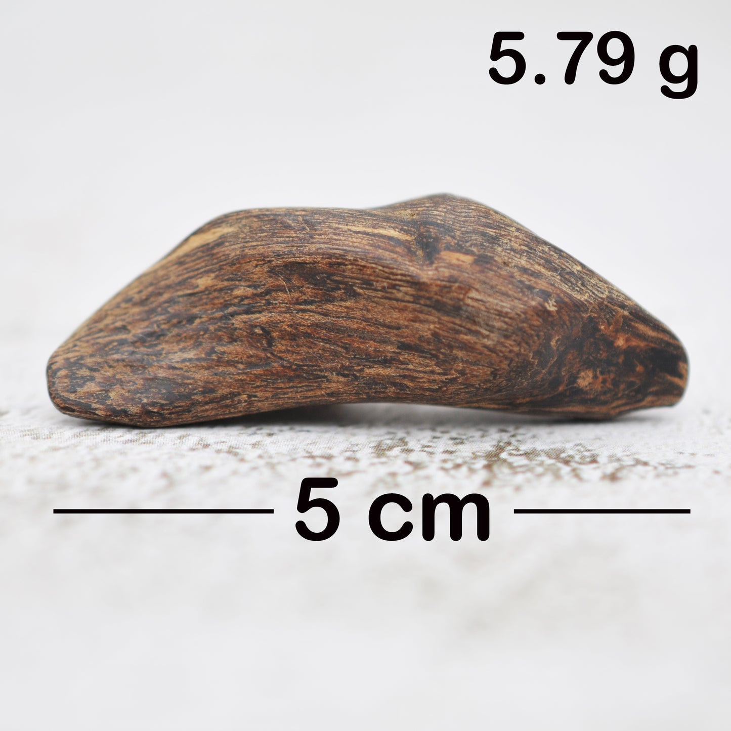 Agarwood - Sinking Brunei