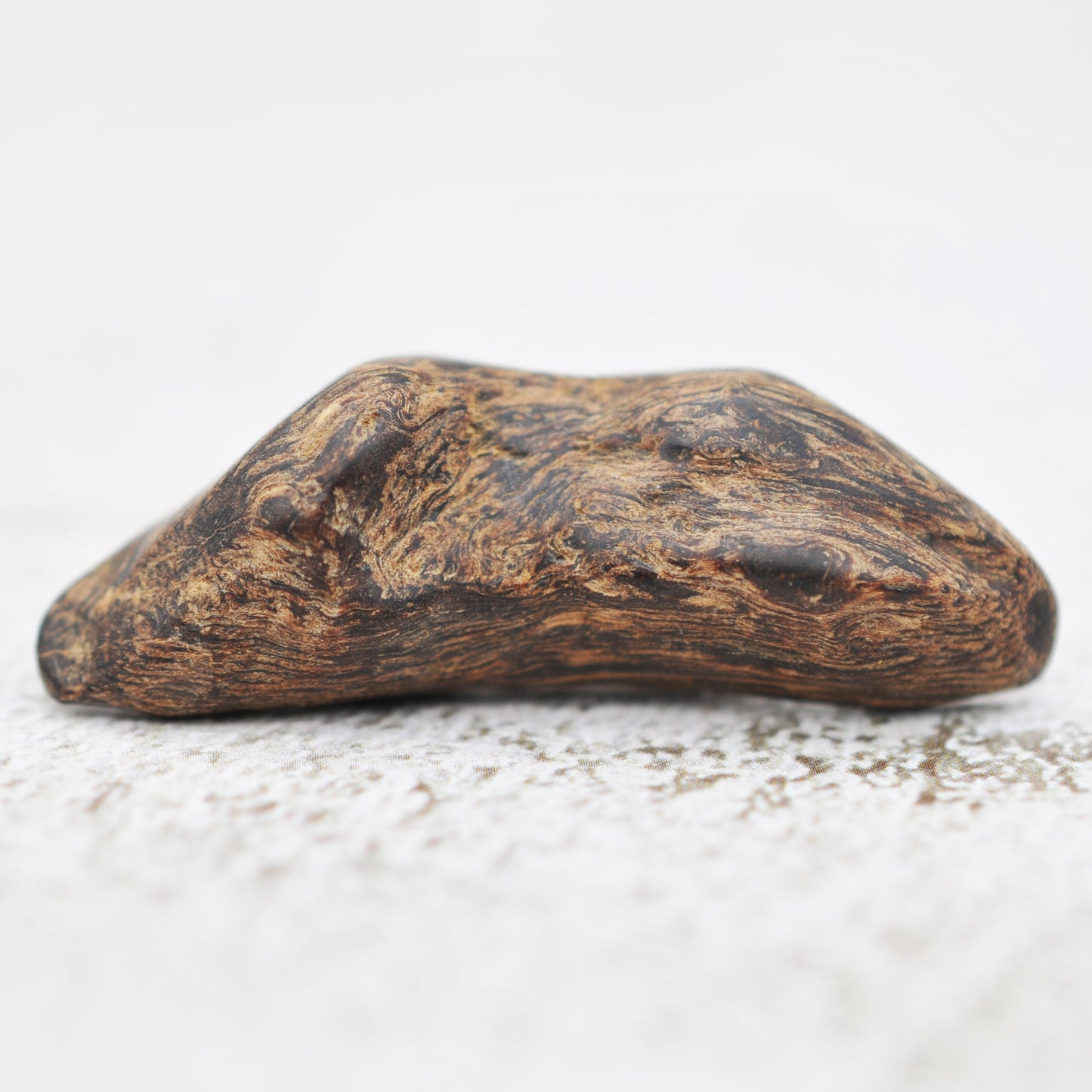 Agarwood - Sinking Brunei