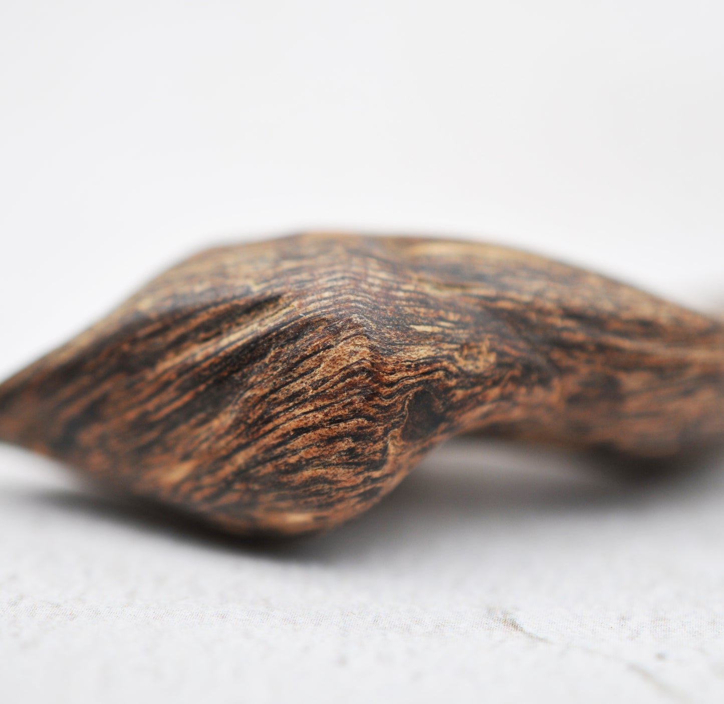 Agarwood - Sinking Brunei
