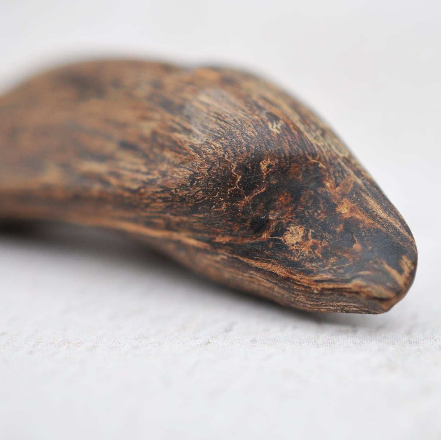 Agarwood - Sinking Brunei