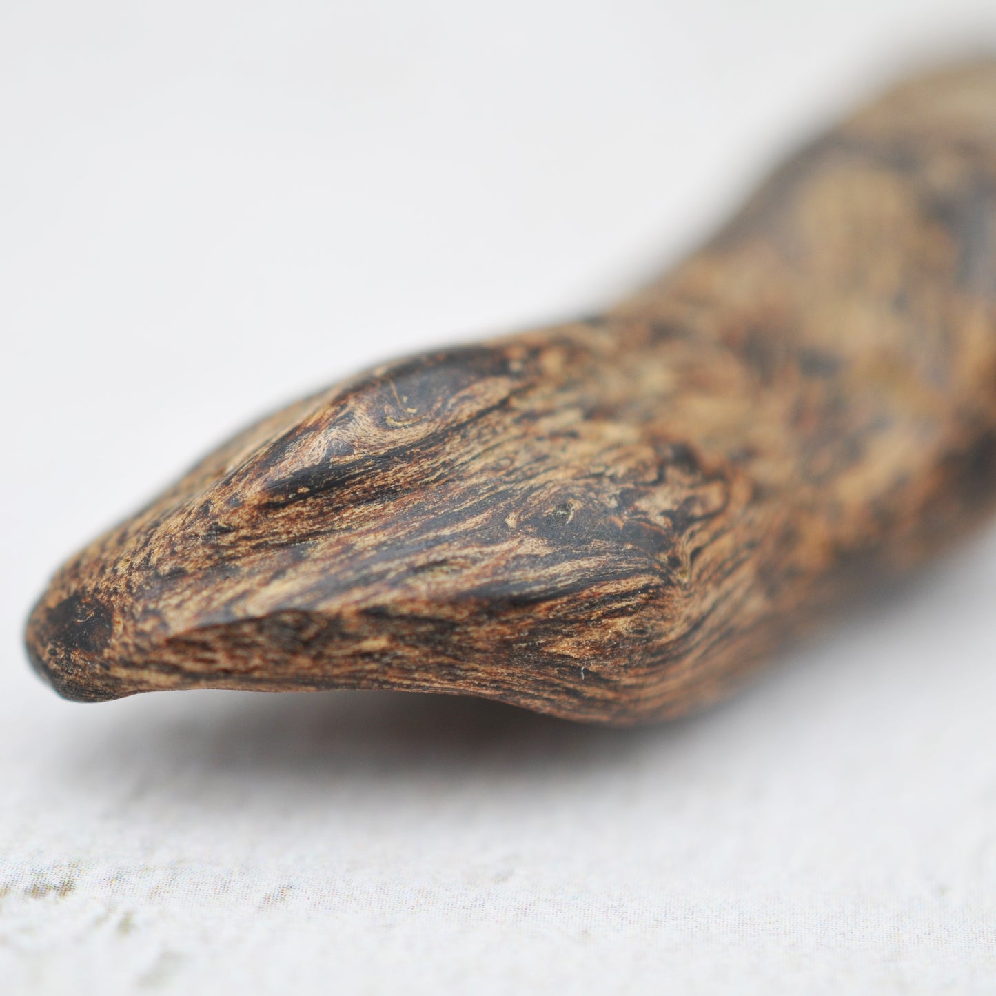 Agarwood - Sinking Brunei