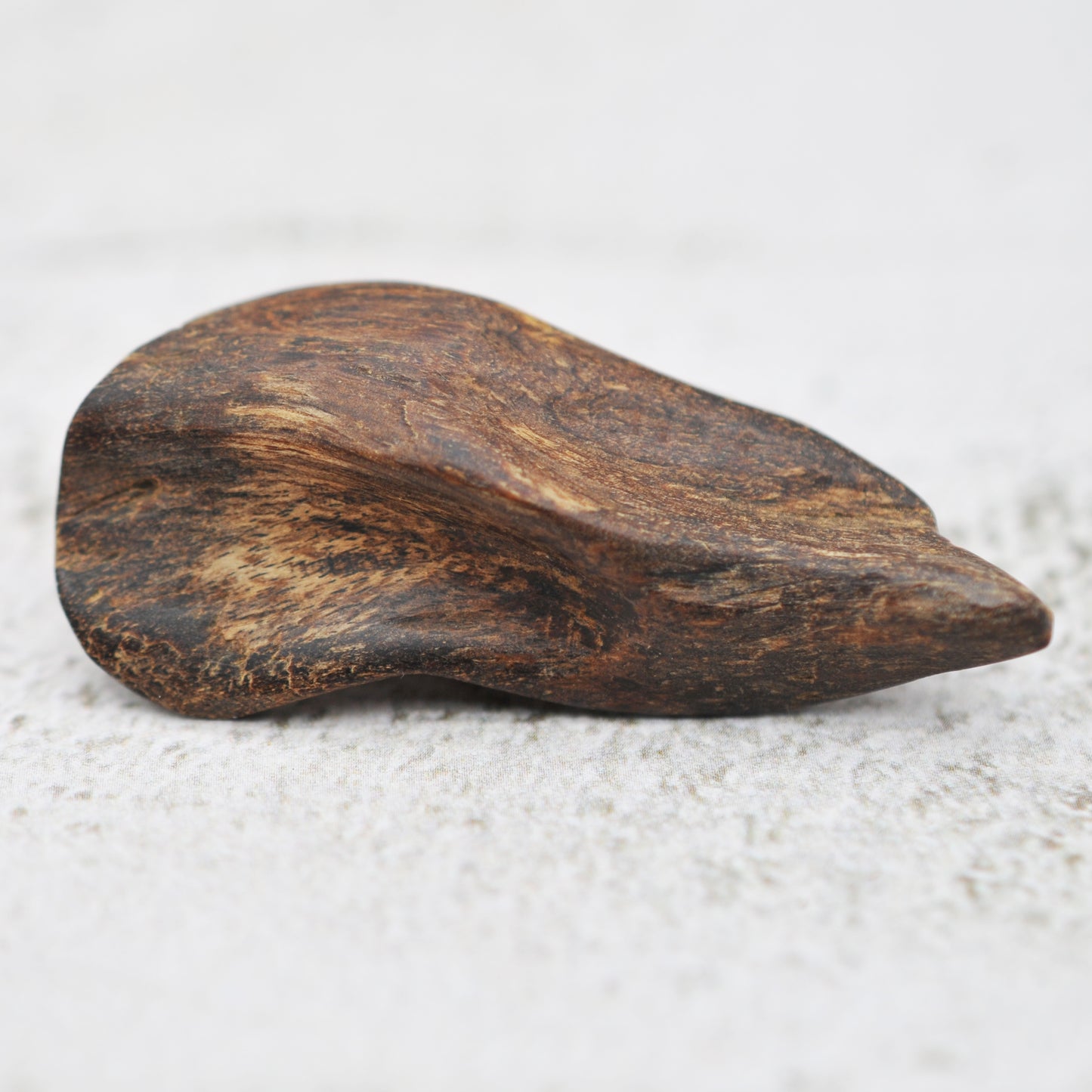 Agarwood - Sinking Brunei