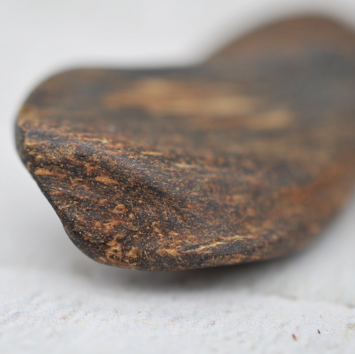 Agarwood - Sinking Brunei