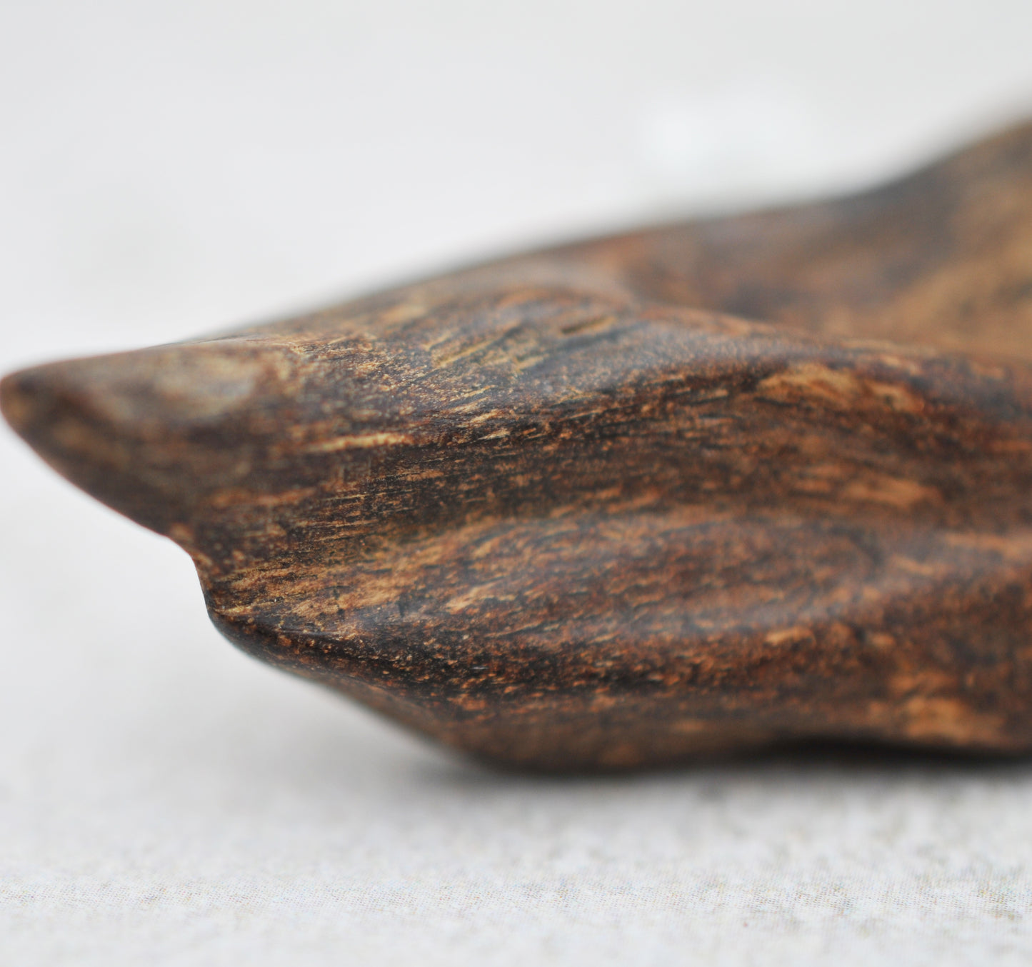 Agarwood - Sinking Brunei