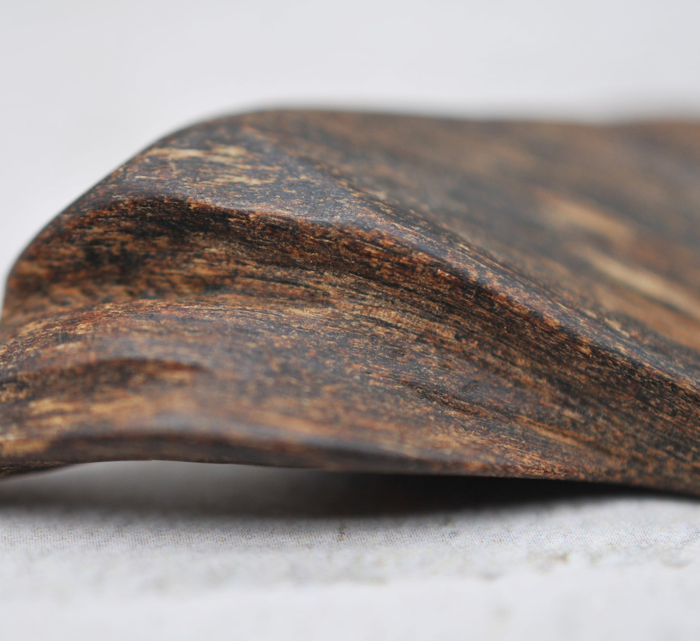 Agarwood - Sinking Brunei