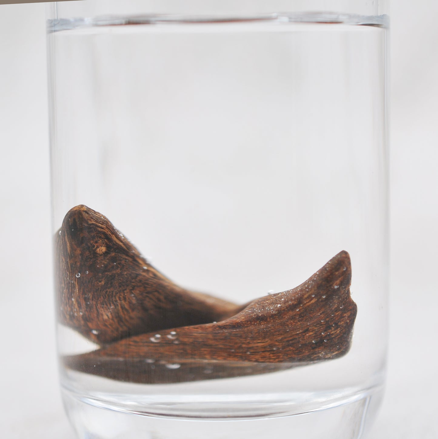 Agarwood - Sinking Brunei