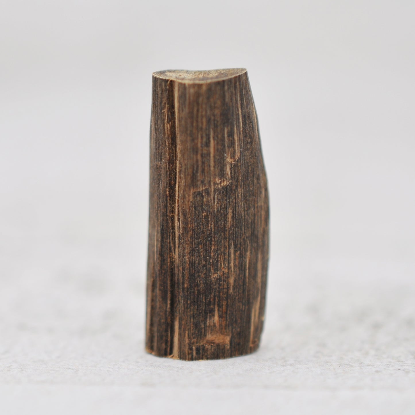 Agarwood - Sinking Malaysia