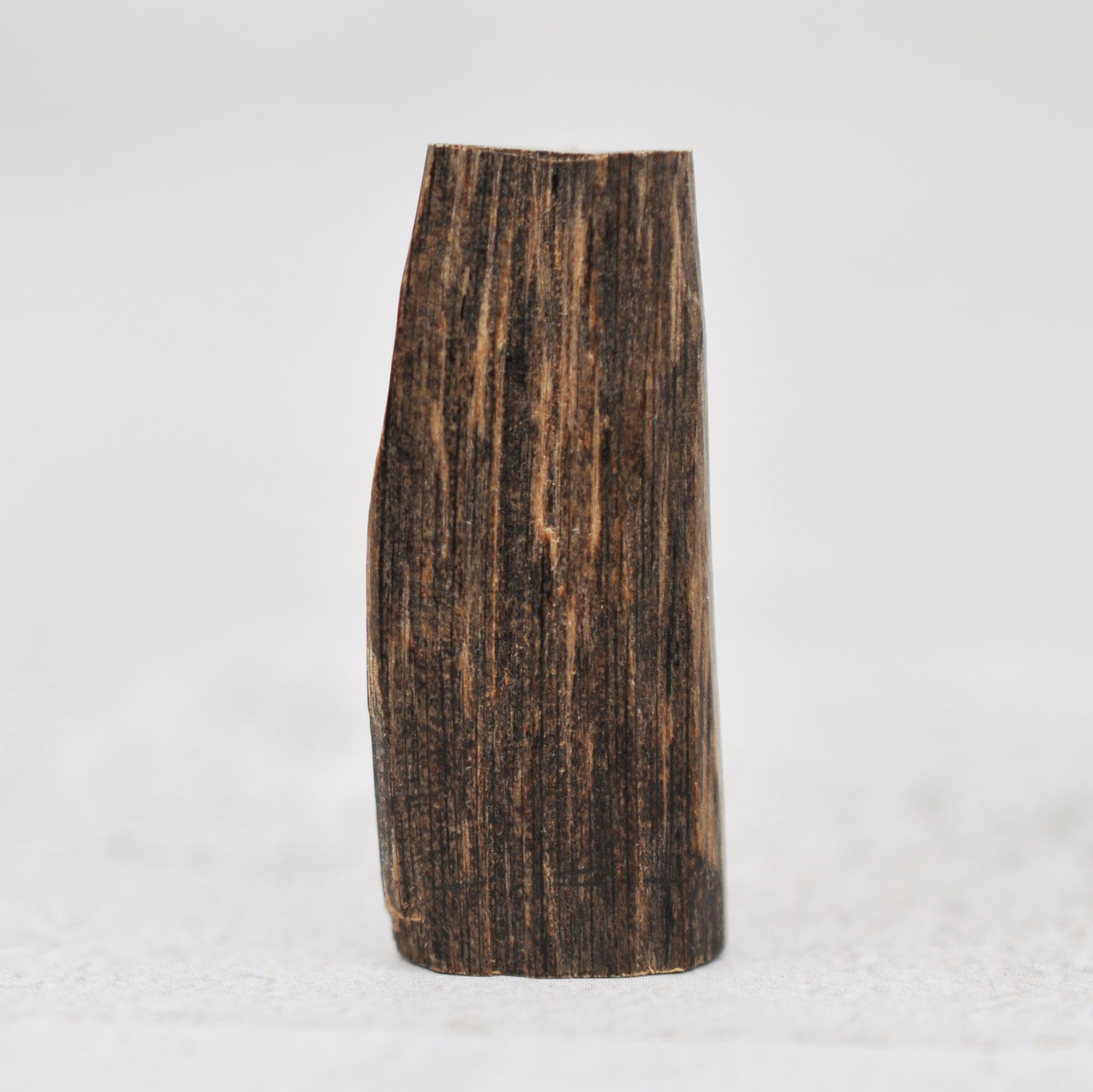 Agarwood - Sinking Malaysia