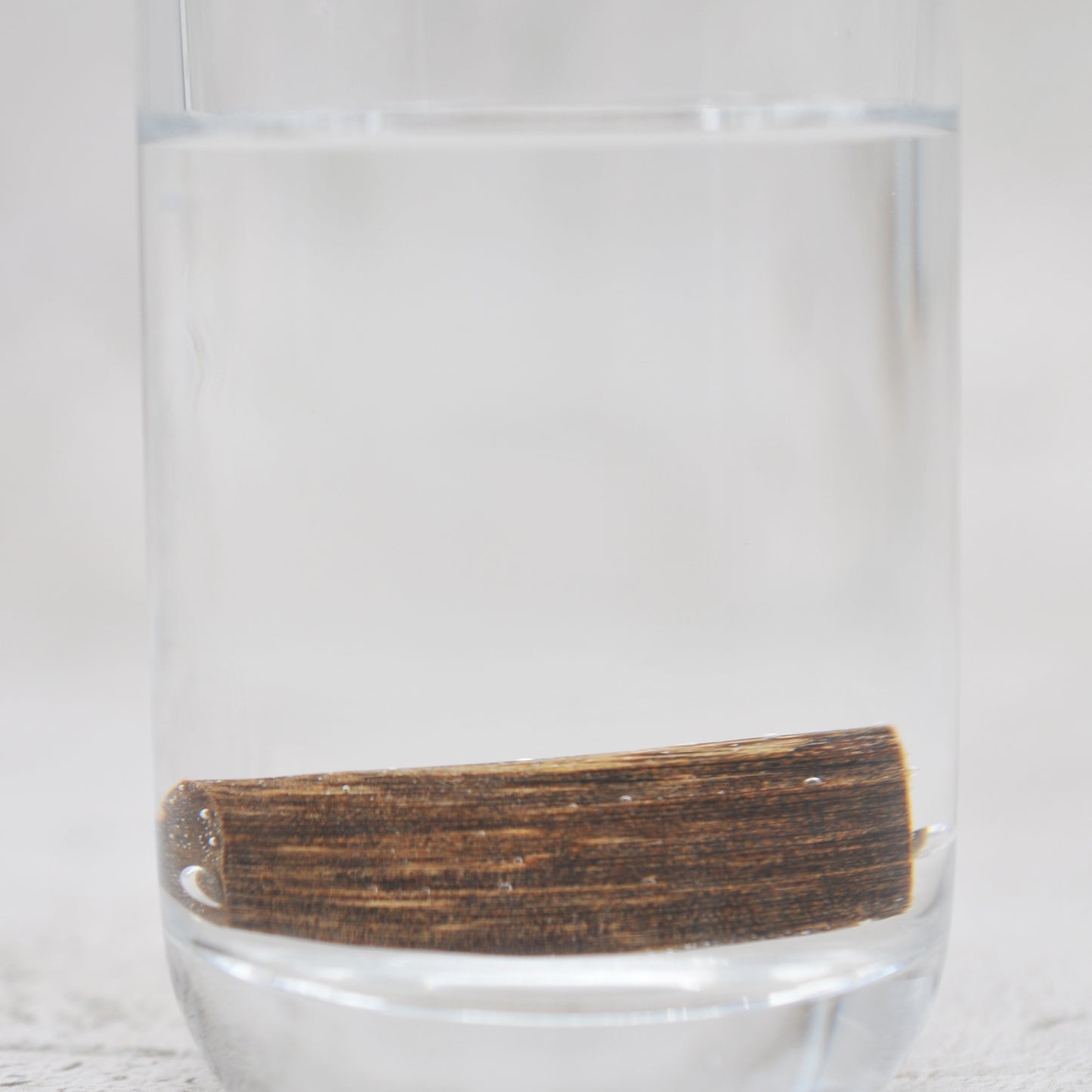 Agarwood - Sinking Malaysia