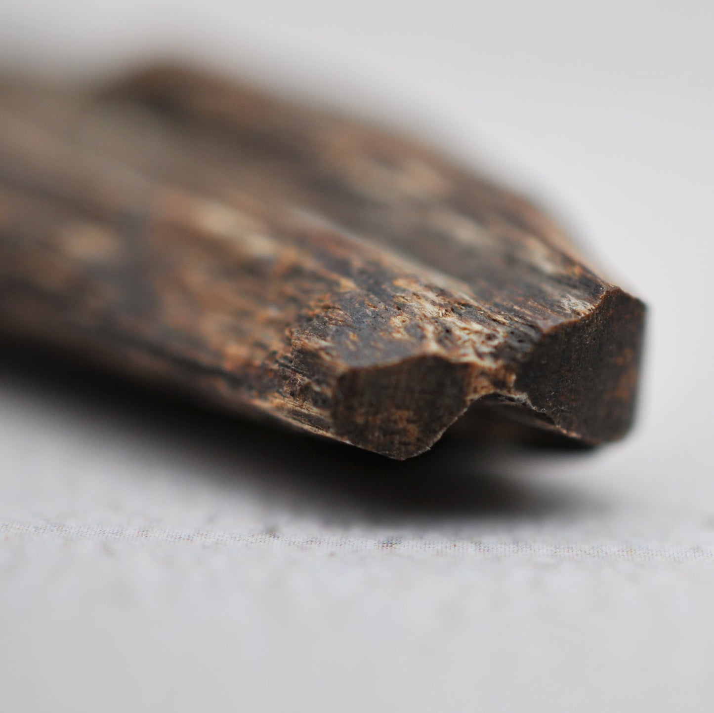 Agarwood - Sinking Cambodia