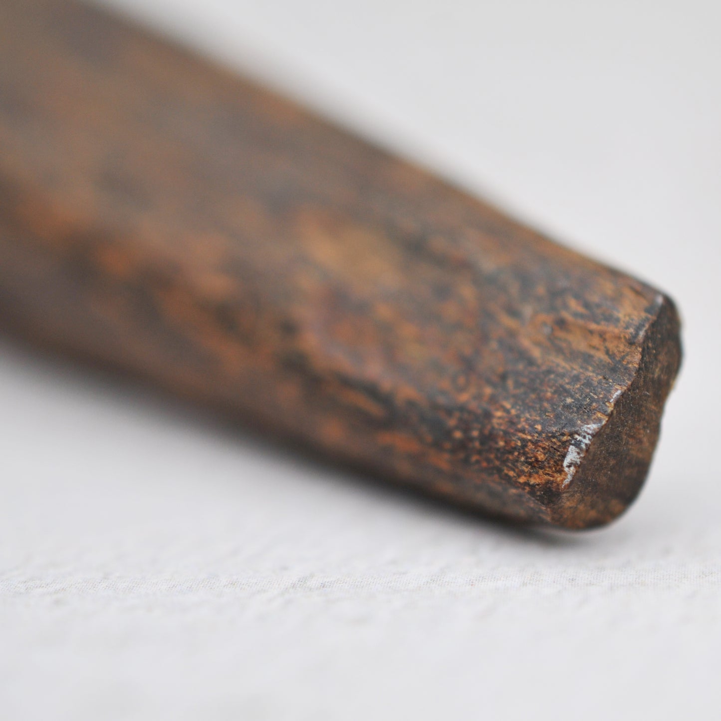 Agarwood - Sinking Golden Triangle