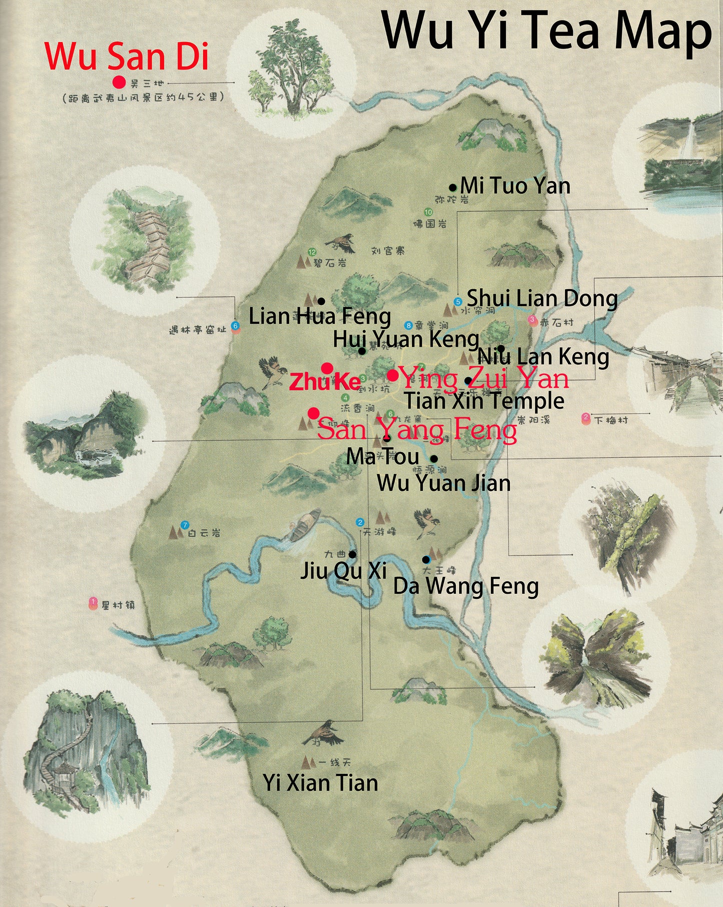 Wuyi Tea - San Yang Feng Lao Cong
