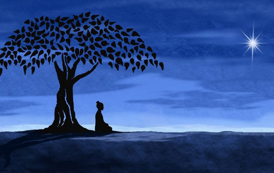 Awaken in Bodh Gaya