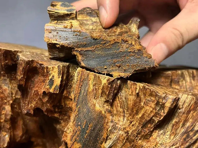 The Six Countries and Five Tastes of Japanese Kōdō – Dr. Incense