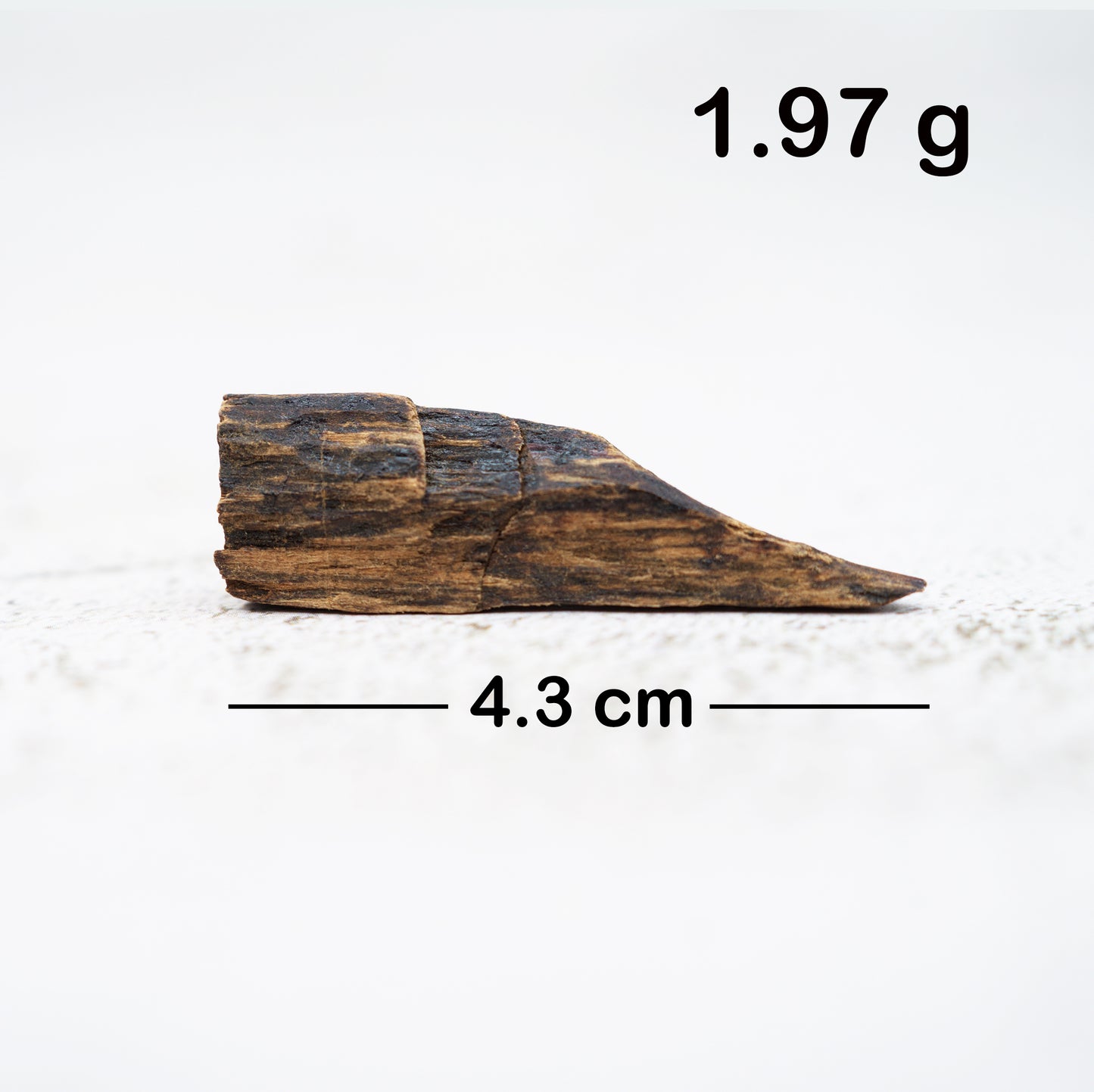 Agarwood - Sinking Brunei Whole Pieces