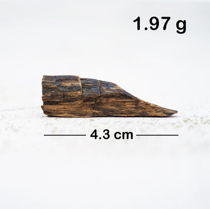 Agarwood - Sinking Brunei Whole Pieces