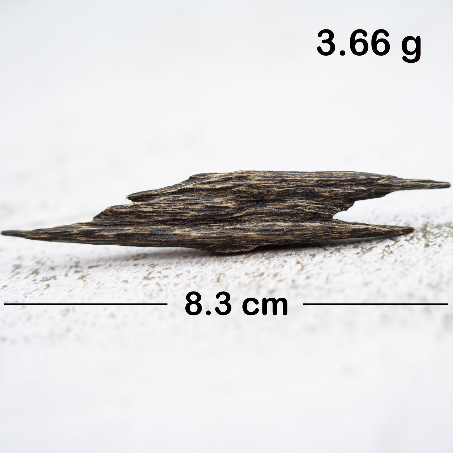 Agarwood - Sinking Brunei Whole Pieces
