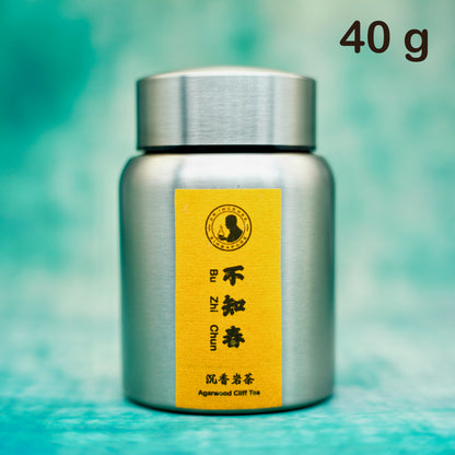 Agarwood Cliff Tea - Bu Zhi Chun (不知春)