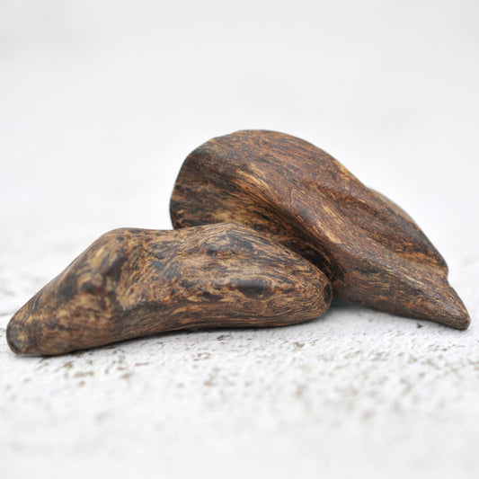 Agarwood - Sinking Brunei