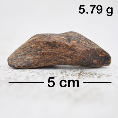 Agarwood - Sinking Brunei