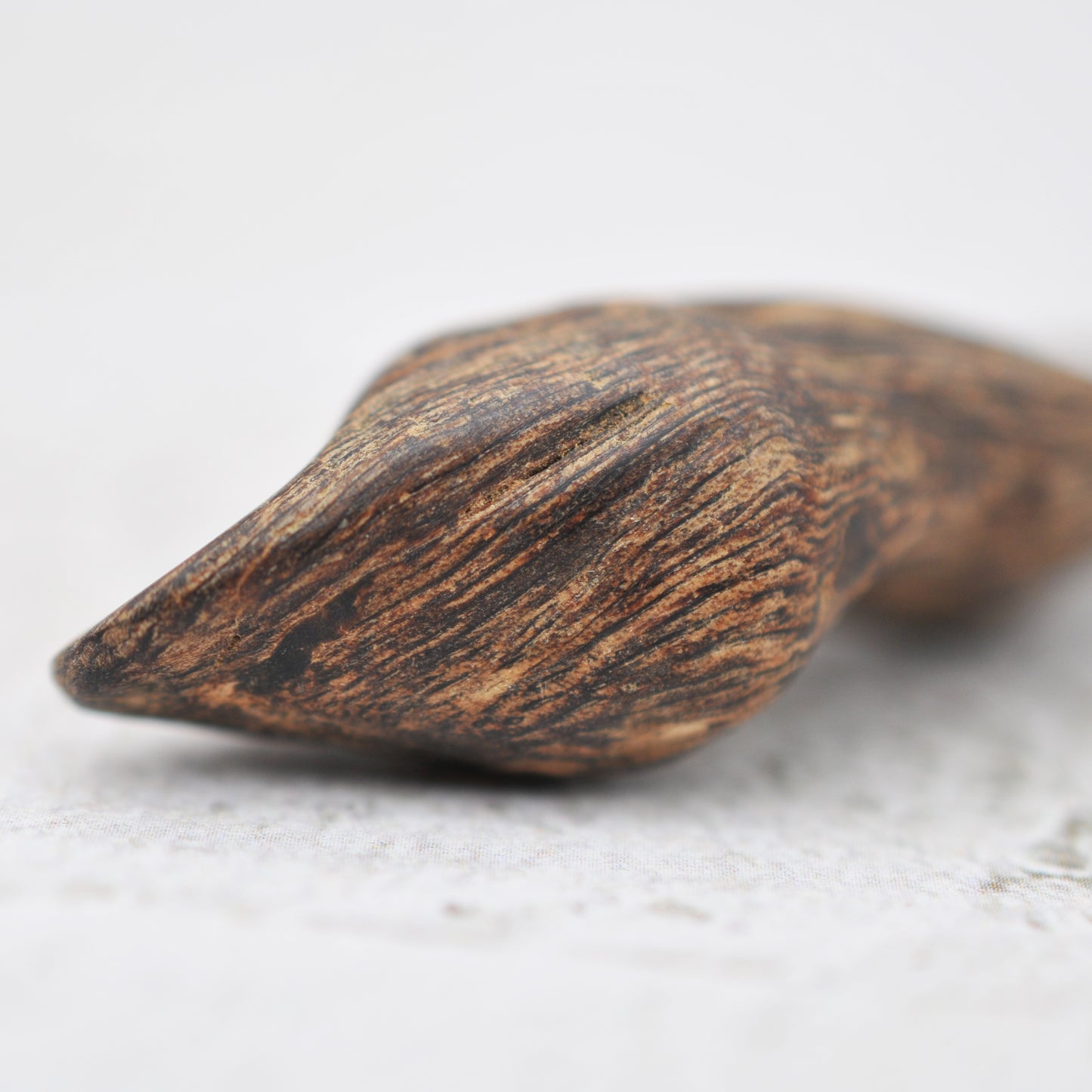 Agarwood - Sinking Brunei