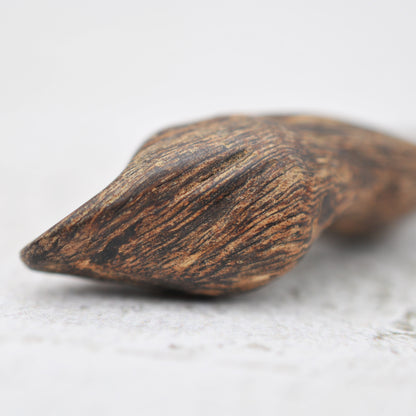 Agarwood - Sinking Brunei