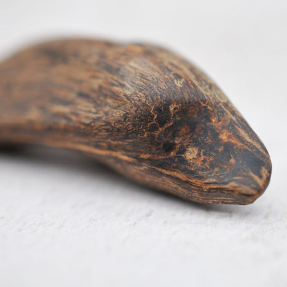 Agarwood - Sinking Brunei