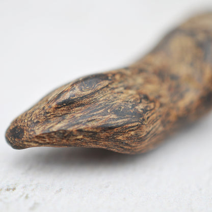 Agarwood - Sinking Brunei