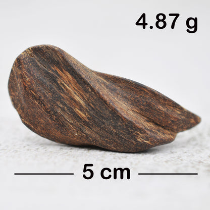 Agarwood - Sinking Brunei