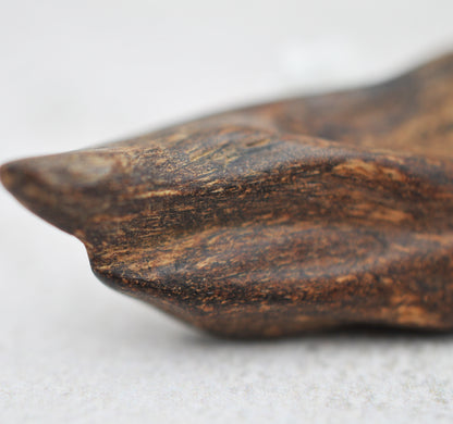 Agarwood - Sinking Brunei