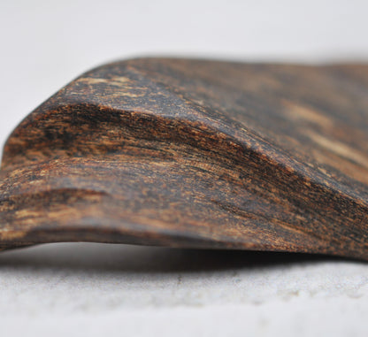 Agarwood - Sinking Brunei