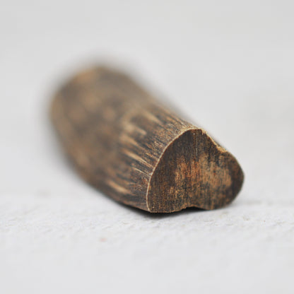 Agarwood - Sinking Malaysia