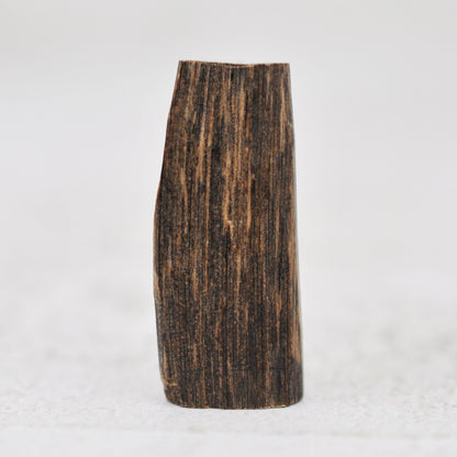Agarwood - Sinking Malaysia