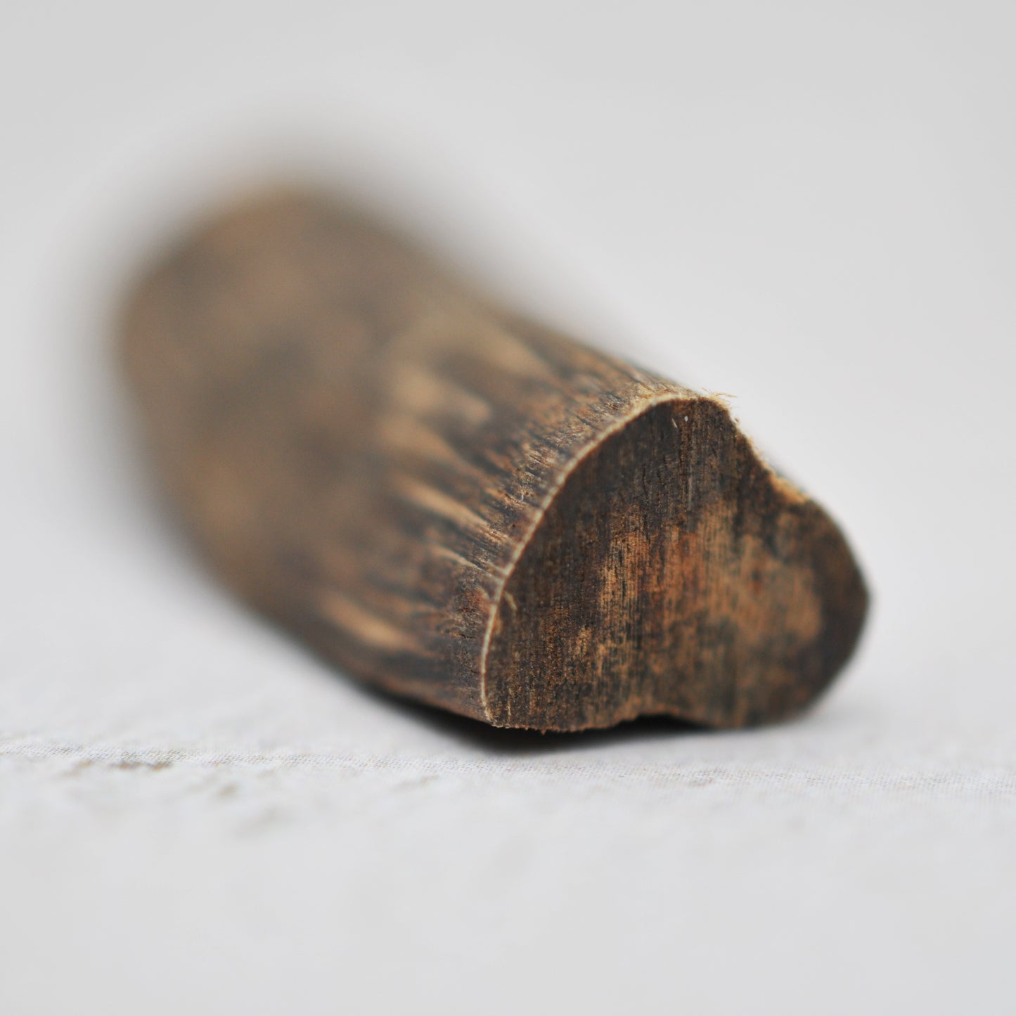 Agarwood - Sinking Malaysia