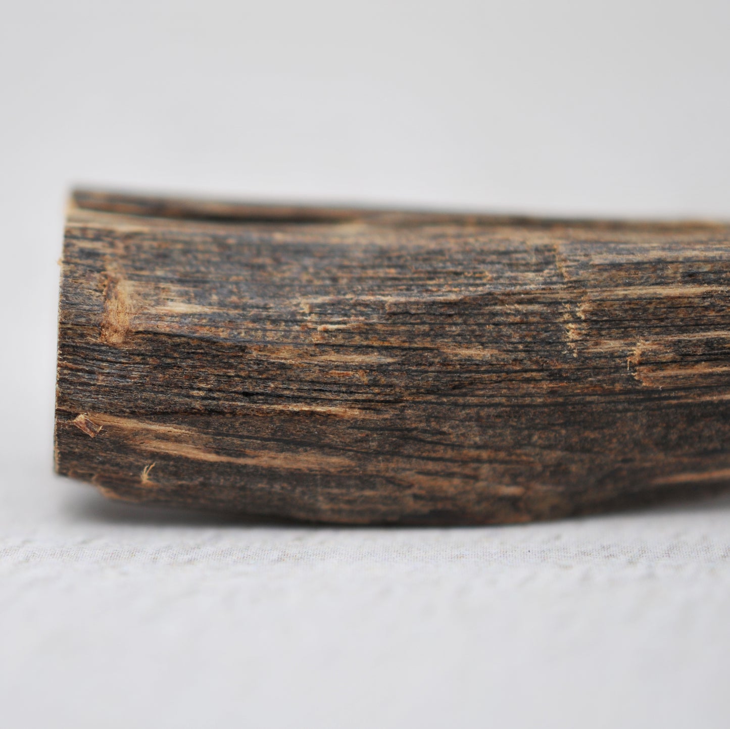 Agarwood - Sinking Malaysia