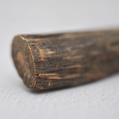 Agarwood - Sinking Malaysia