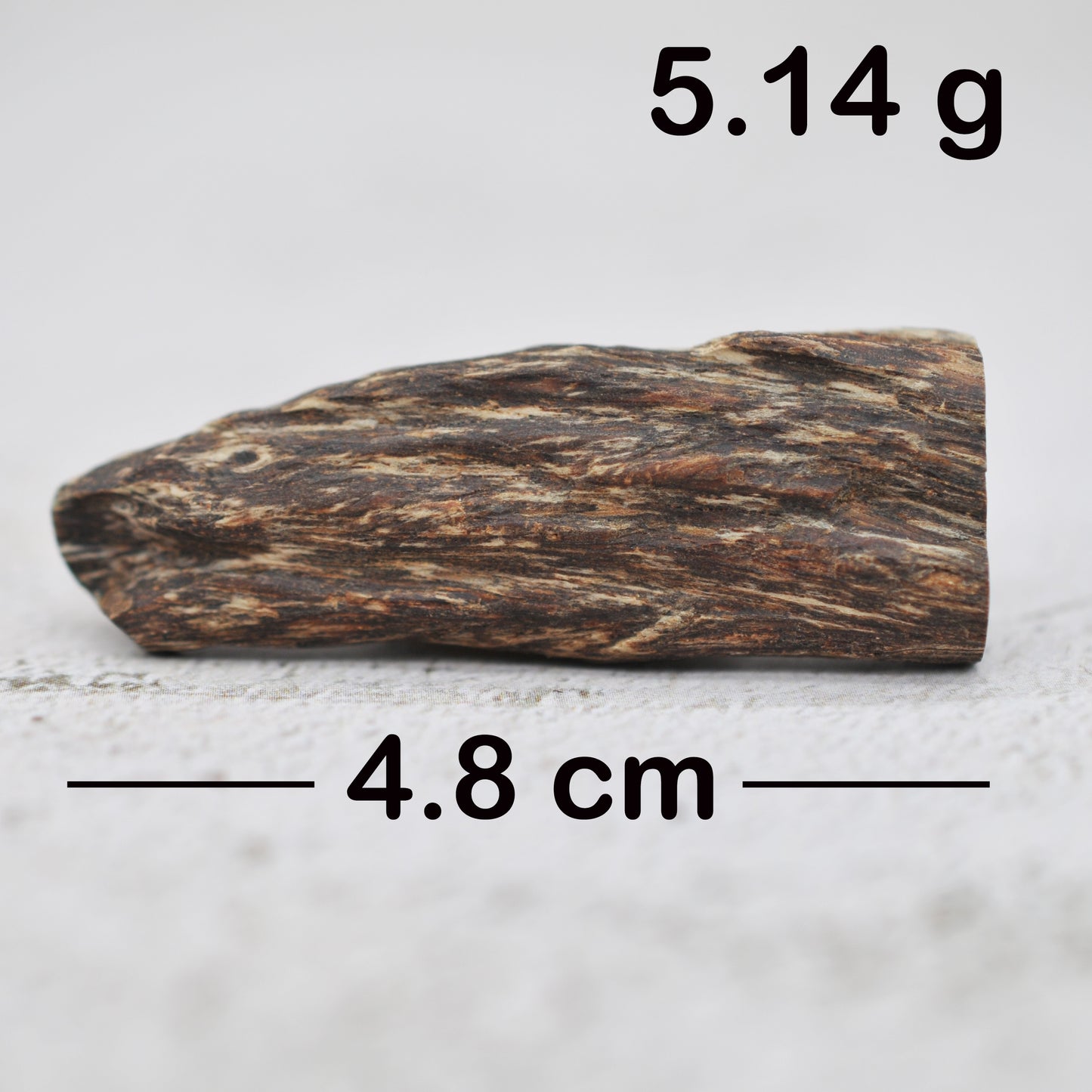 Agarwood - Sinking Cambodia