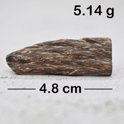 Agarwood - Sinking Cambodia