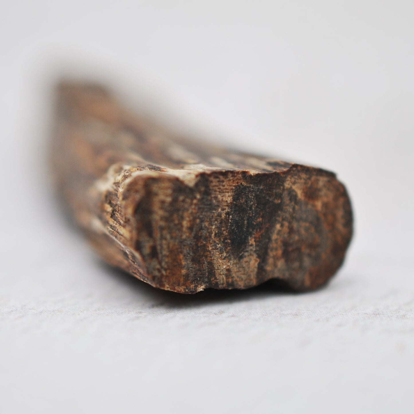 Agarwood - Sinking Cambodia
