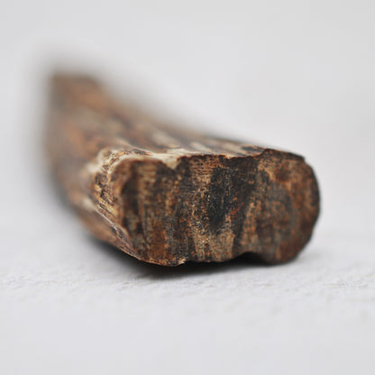 Agarwood - Sinking Cambodia