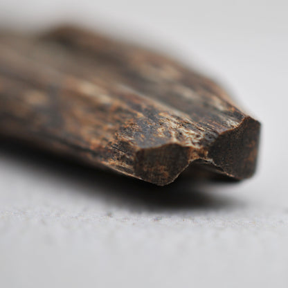 Agarwood - Sinking Cambodia