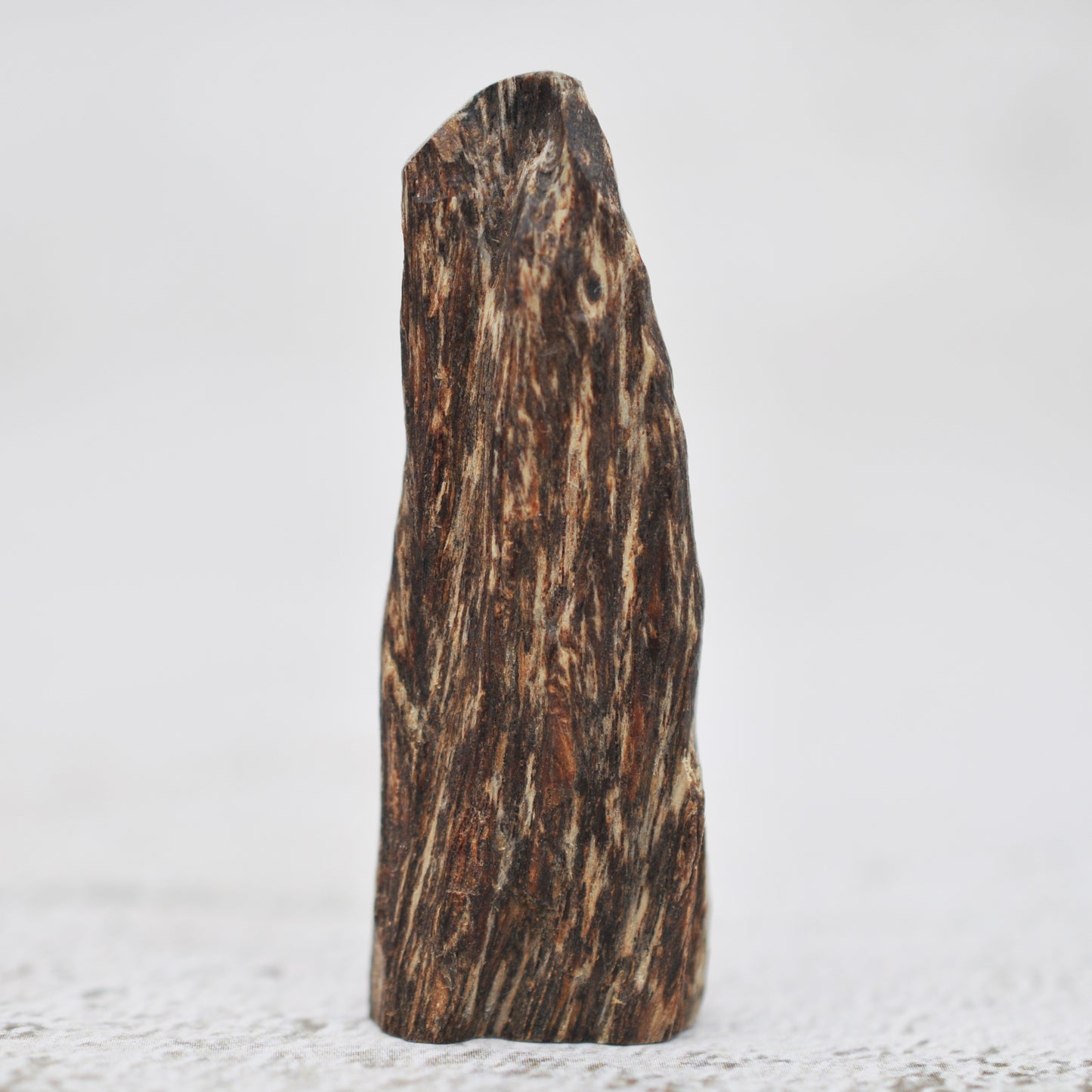 Agarwood - Sinking Cambodia