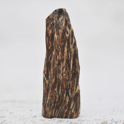 Agarwood - Sinking Cambodia