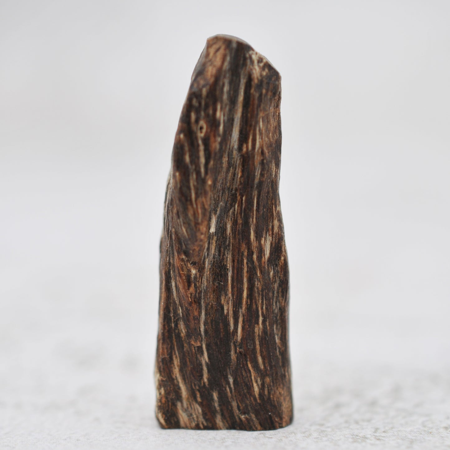 Agarwood - Sinking Cambodia