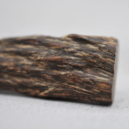 Agarwood - Sinking Cambodia