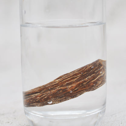 Agarwood - Sinking Cambodia