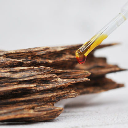 Processed Agarwood Incense - Processed Vietnam (Oud Version)