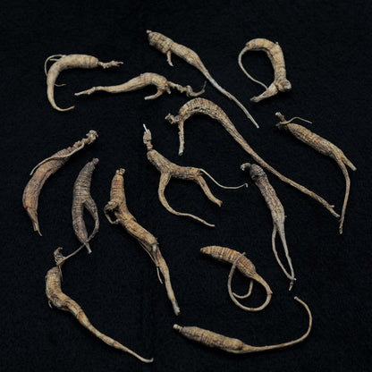 TCM Herbal Incense - Ginseng Heart Incense