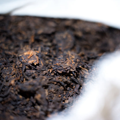 Agarwood Pu-erh Tea - Black Tortoise (玄武)