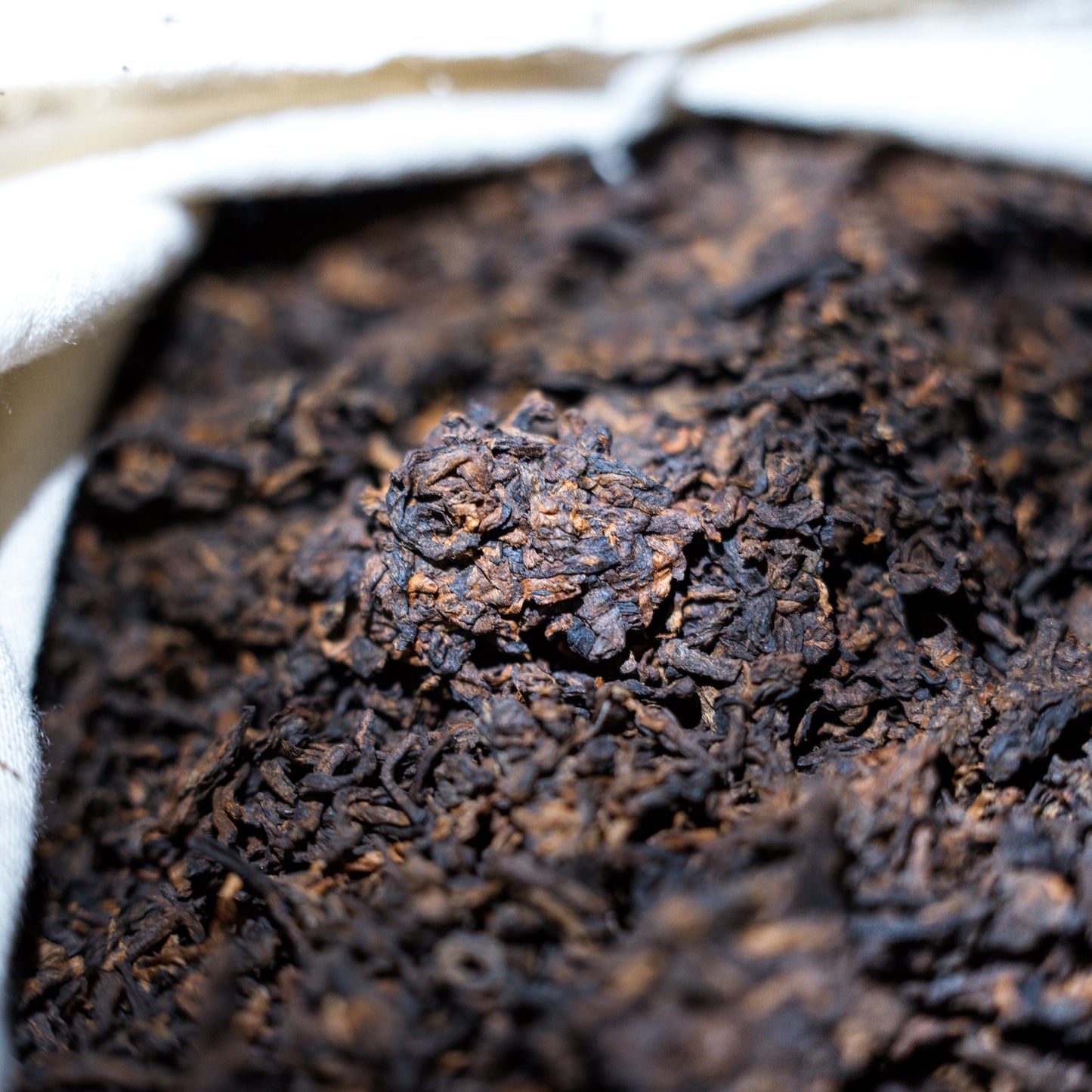 Agarwood Pu-erh Tea - Black Tortoise (玄武)